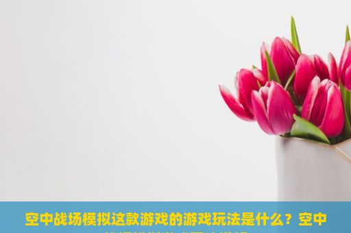 空中战场模拟这款游戏的游戏玩法是什么？空中战场模拟游戏玩法详解