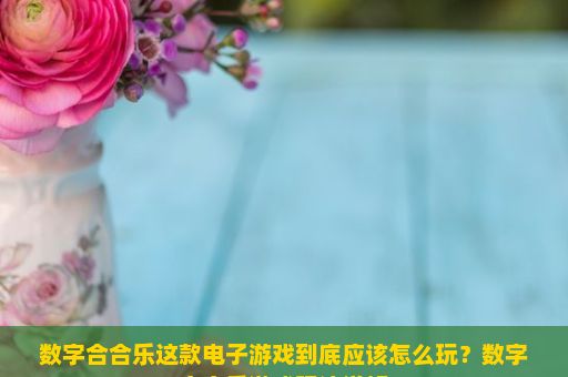 数字合合乐这款电子游戏到底应该怎么玩？数字合合乐游戏玩法详解