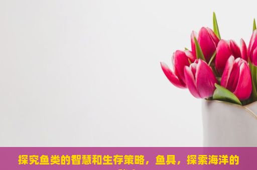 探究鱼类的智慧和生存策略，鱼具，探索海洋的秘密