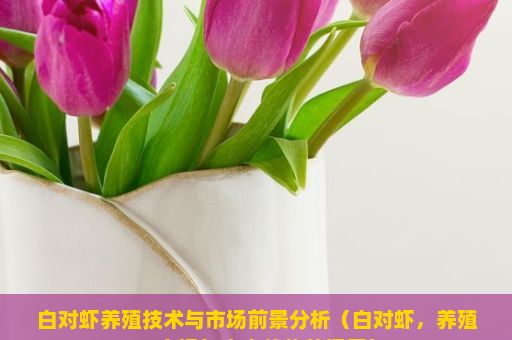 白对虾养殖技术与市场前景分析（白对虾，养殖、市场与未来趋势的探索）