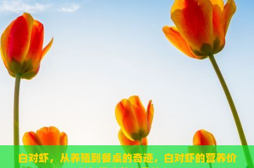 白对虾，从养殖到餐桌的奇迹，白对虾的营养价值与健康益处是什么？