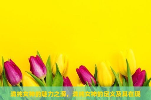 清纯女神的魅力之源，清纯女神的定义及其在现代社会中的影响