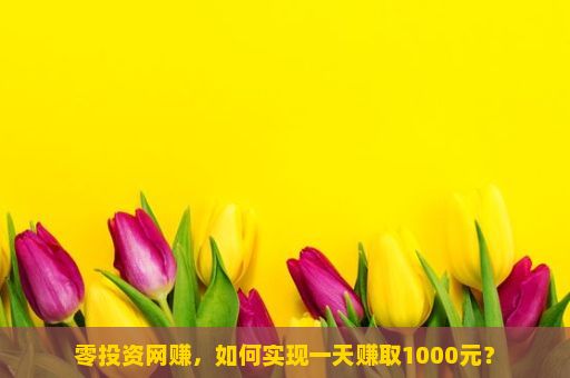 零投资网赚，如何实现一天赚取1000元？