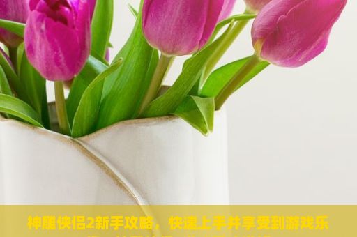 神雕侠侣2新手攻略，快速上手并享受到游戏乐趣，神雕侠侣2游戏玩法详解