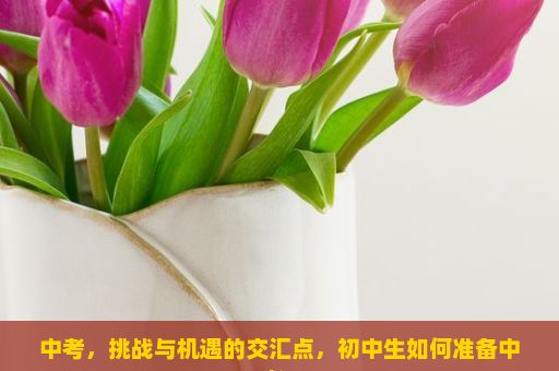 中考，挑战与机遇的交汇点，初中生如何准备中考？