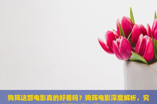 狗阵这部电影真的好看吗？狗阵电影深度解析，究竟是否值得一看？