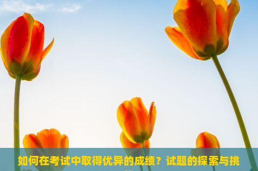 如何在考试中取得优异的成绩？试题的探索与挑战