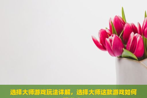 选择大师游戏玩法详解，选择大师这款游戏如何玩游戏？