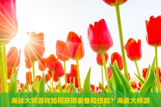 海战大师游戏如何获得装备和技能？海战大师游戏玩法详解