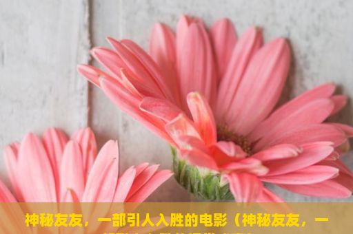 神秘友友，一部引人入胜的电影（神秘友友，一部引人入胜的视觉盛宴）