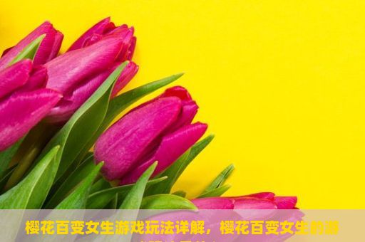 樱花百变女生游戏玩法详解，樱花百变女生的游戏玩法是什么？