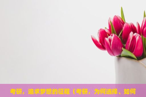 考研，追求梦想的征程（考研，为何选择、如何准备与面对挑战）