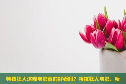 特技狂人这部电影真的好看吗？特技狂人电影，精彩纷呈的视觉盛宴