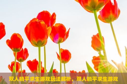 双人躺平求生游戏玩法解析，双人躺平求生游戏玩法详解