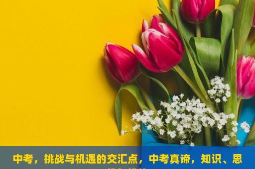 中考，挑战与机遇的交汇点，中考真谛，知识、思维与挑战