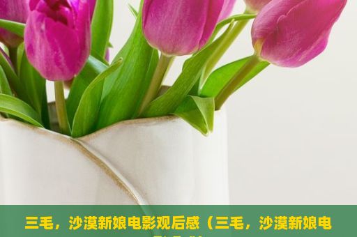 三毛，沙漠新娘电影观后感（三毛，沙漠新娘电影观感）