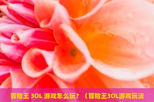 冒险王 3OL 游戏怎么玩？（冒险王3OL游戏玩法详解）