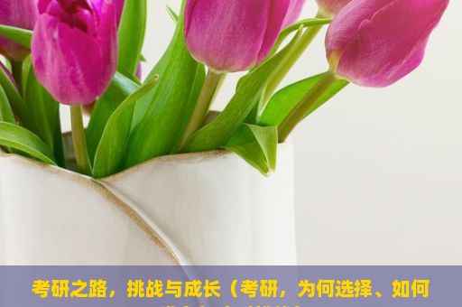 考研之路，挑战与成长（考研，为何选择、如何准备与应对挑战）