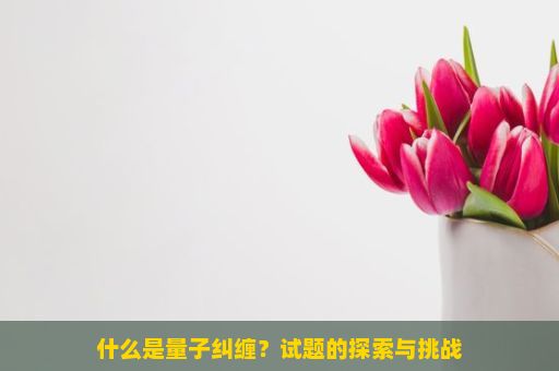 什么是量子纠缠？试题的探索与挑战