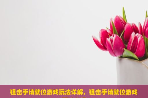 狙击手请就位游戏玩法详解，狙击手请就位游戏玩法介绍