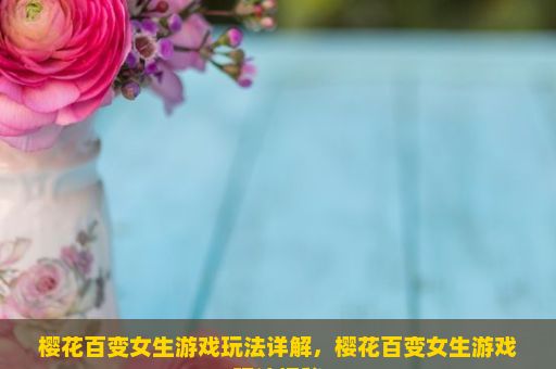 樱花百变女生游戏玩法详解，樱花百变女生游戏玩法揭秘