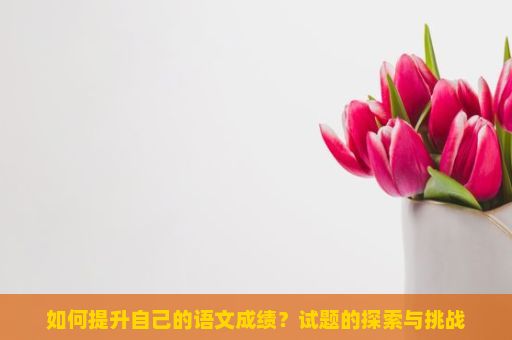 如何提升自己的语文成绩？试题的探索与挑战