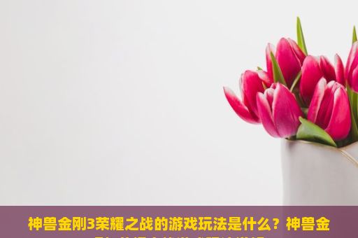 神兽金刚3荣耀之战的游戏玩法是什么？神兽金刚3荣耀之战游戏玩法详解