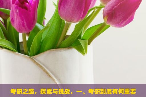 考研之路，探索与挑战，一、考研到底有何重要意义？