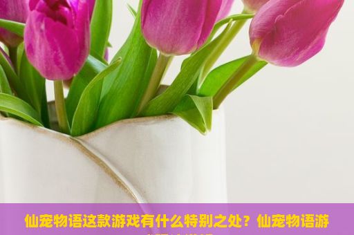 仙宠物语这款游戏有什么特别之处？仙宠物语游戏玩法详解