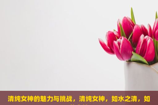 清纯女神的魅力与挑战，清纯女神，如水之清，如花之纯