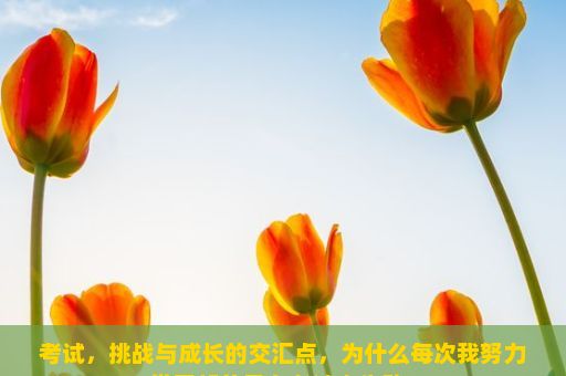 考试，挑战与成长的交汇点，为什么每次我努力学习却总是在考试中失败？