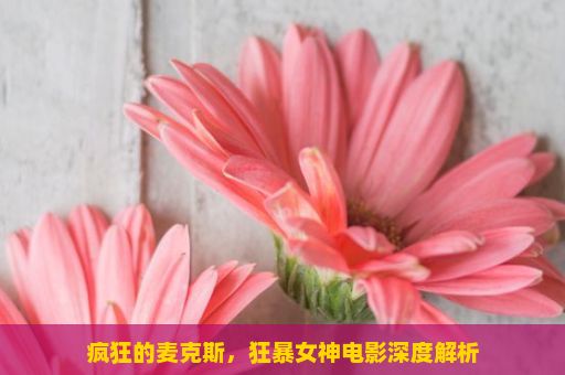 疯狂的麦克斯，狂暴女神电影深度解析