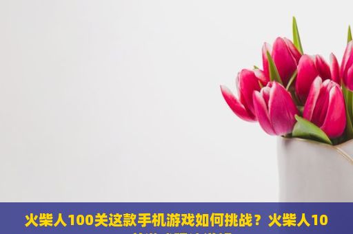 火柴人100关这款手机游戏如何挑战？火柴人100关游戏玩法详解