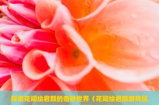 探索花间绘君颜的奇妙世界（花间绘君颜游戏玩法详解）