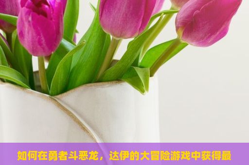 如何在勇者斗恶龙，达伊的大冒险游戏中获得最大乐趣？勇者斗恶龙，达伊的大冒险游戏攻略与玩法详解