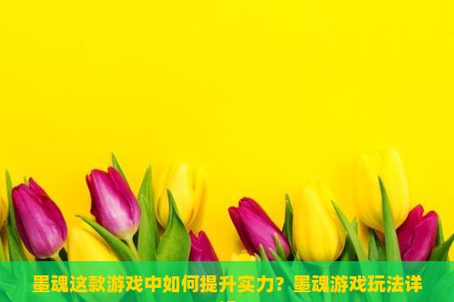 墨魂这款游戏中如何提升实力？墨魂游戏玩法详解