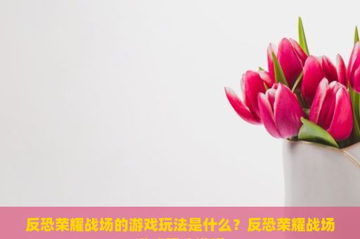 反恐荣耀战场的游戏玩法是什么？反恐荣耀战场游戏玩法详解