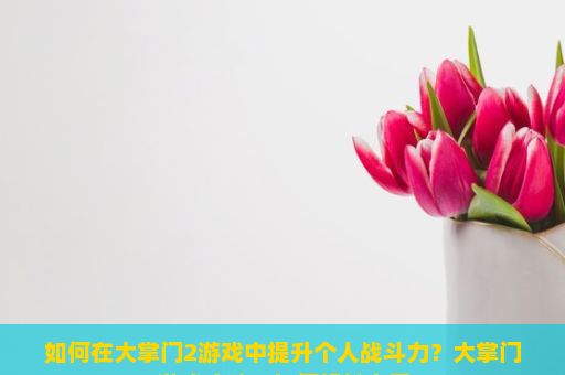 如何在大掌门2游戏中提升个人战斗力？大掌门2游戏攻略，如何轻松上手？