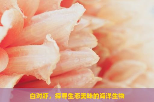 白对虾，探寻生态美味的海洋生物