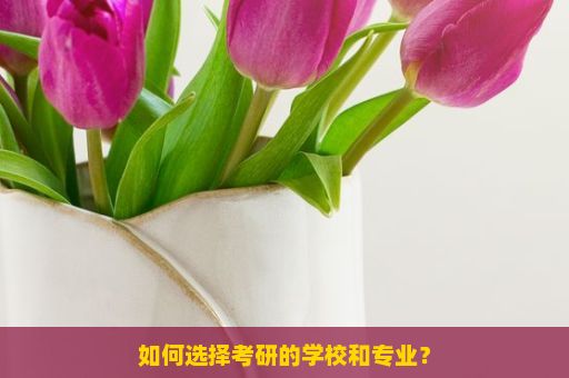 如何选择考研的学校和专业？