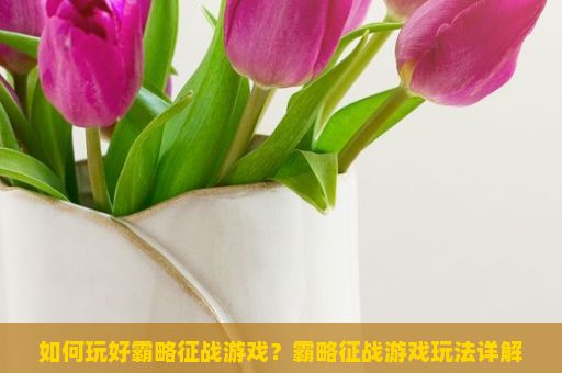 如何玩好霸略征战游戏？霸略征战游戏玩法详解