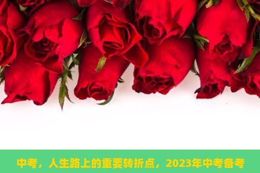 中考，人生路上的重要转折点，2023年中考备考策略有哪些？