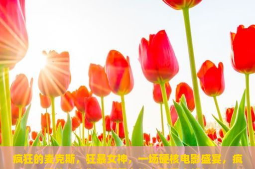 疯狂的麦克斯，狂暴女神，一场硬核电影盛宴，疯狂的麦克斯，狂暴女神电影深度解析