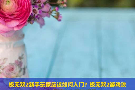 极无双2新手玩家应该如何入门？极无双2游戏攻略，如何轻松上手并畅玩？