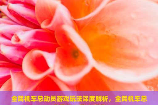 全民机车总动员游戏玩法深度解析，全民机车总动员游戏玩法详解