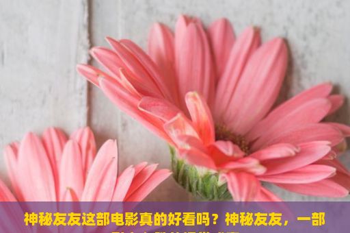 神秘友友这部电影真的好看吗？神秘友友，一部引人入胜的视觉盛宴