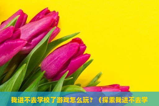 我进不去学校了游戏怎么玩？（探索我进不去学校了游戏的玩法与乐趣）