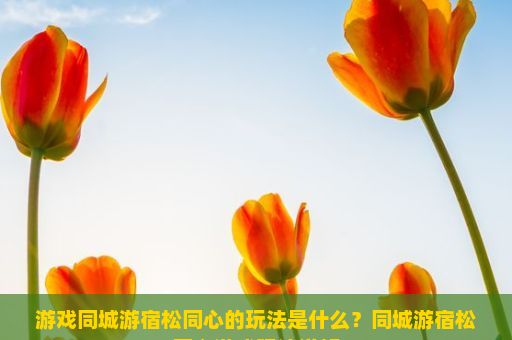 游戏同城游宿松同心的玩法是什么？同城游宿松同心游戏玩法详解