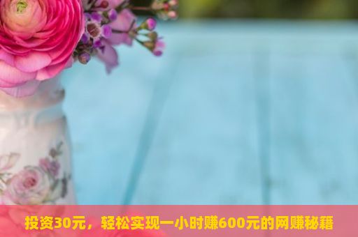 投资30元，轻松实现一小时赚600元的网赚秘籍！