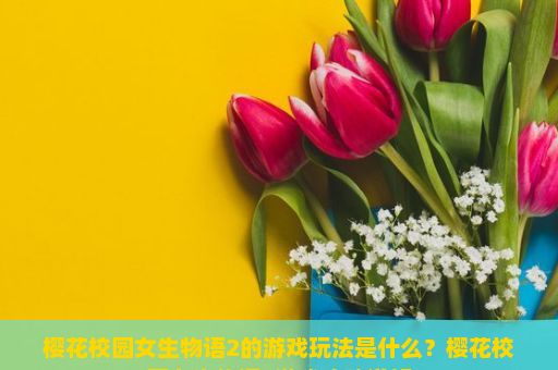 樱花校园女生物语2的游戏玩法是什么？樱花校园女生物语2游戏攻略详解